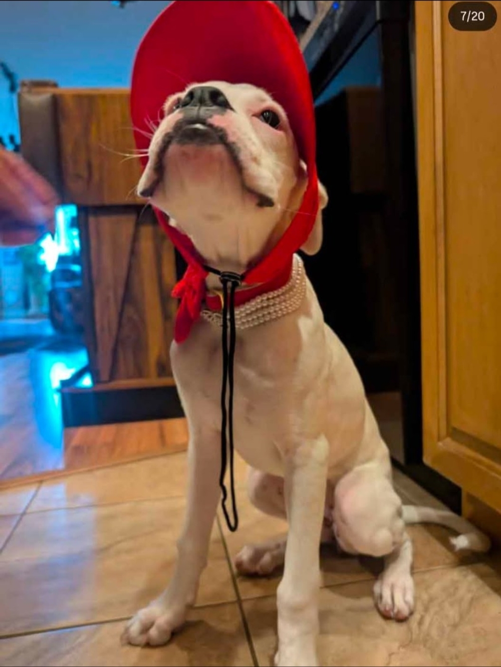 Red Dog Sun Hat with Chin Strap - Unbranded